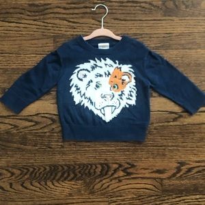 Little Boy Sweater